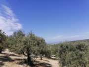 Darmarochori Erhöhtes Grundstück mit Berg- und Meerblick Grundstück kaufen